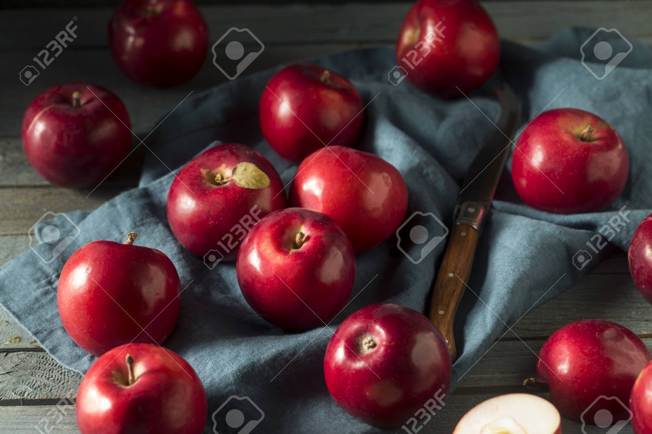 Macintosh apple